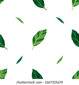 Summer seamless pattern with green leaves on white background. Vector isolated illustration with tropical leaves. Exotic wallpaper. For web, banners, scrapbooking, printing on fabric, wrapping, bags.