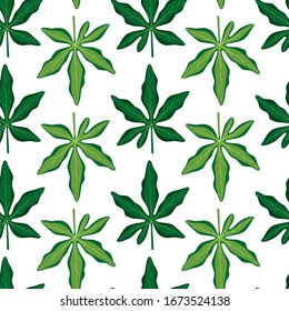 Patrón veraniego sin fisuras con hojas verdes. Hojas tropicales de passiflora. Ilustración vectorial sobre fondo blanco. Papel pintado exótico. Para el diseño web, banners, scrapbooking, impresión en tela, envoltura.
