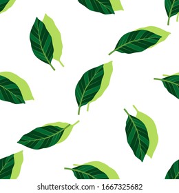 Summer seamless pattern with leaves. Vector illustration with tropical green leaves on white background. Exotic wallpaper. For web design, banners, scrapbooking, printing on fabric, wrapping, bags.