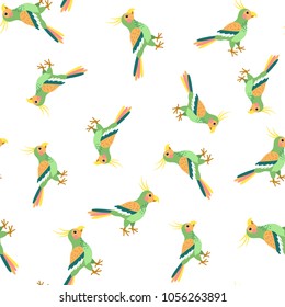 Summer seamless pattern with parrots. Vector illustration