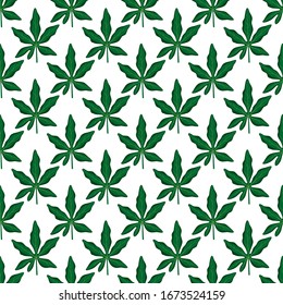 Patrón veraniego sin fisuras con hojas de passiflora. Hojas verdes exóticas. Ilustración vectorial sobre fondo blanco. Papel tapiz tropical. Para el diseño web, banners, scrapbooking, impresión en tela, envoltura.