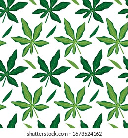 Patrón veraniego sin fisuras con hojas de passiflora. Hojas tropicales verdes. Ilustración vectorial sobre fondo blanco. Papel pintado exótico. Para el diseño web, banners, scrapbooking, impresión en tela, envoltura.
