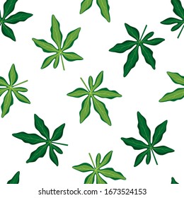 Summer seamless pattern. Tropical green leaves. Vector illustration of summer on white background. Exotic wallpaper with passiflora leaves. For web, banners, scrapbooking, printing on fabric, wrapping