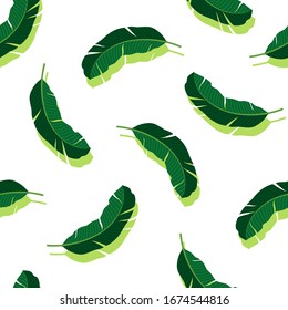 Summer seamless pattern with tropical leaves. Exotic palm leaves. Vector illustration on white background. Tropical wallpaper. For web design, banners, scrapbooking, printing on fabric, wrapping paper