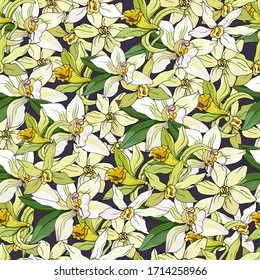 Summer seamless pattern of vanilla flowers. Vector hand-drawn texture of delicate flowers for fabric, home textile bedding.