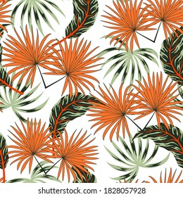 Patrón tropical sin fisuras de verano con plantas y hojas sobre un fondo blanco. Ilustración al estilo hawaiano. Hojas de la jungla. Patrón botánico. Fondo creativo abstracto. Papel de pared exótico.