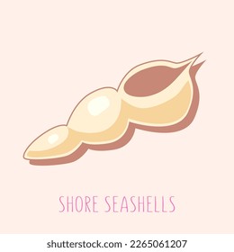 Summer seashell, marine life poster with seashell on the beach sand with Shore Seashells phrase. Vacation logo, postcard, card, summer vector illustration for souvenir shops, beach shops etc.