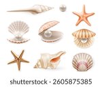 Summer seashells, beach sea shells. Vector in realistic style, collection assorted aquatic objects. Starfish and mollusk with pearls. Aquarium or underwater snorkeling view design, scallop