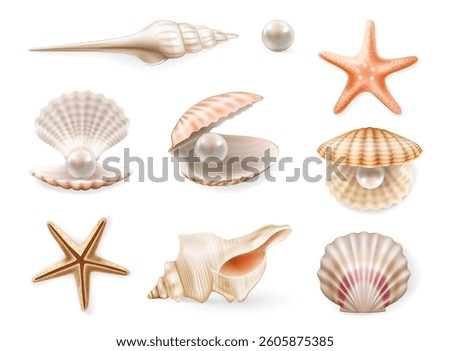 Summer seashells, beach sea shells. Vector in realistic style, collection assorted aquatic objects. Starfish and mollusk with pearls. Aquarium or underwater snorkeling view design, scallop