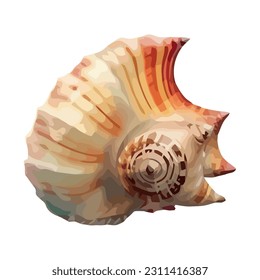 Summer seashells, nature decoration spiral icon isolated