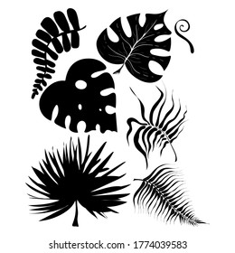 Summer set black silhouettes of tropical leaves palms and trees elements isolated on white background. Monochrome jungle exotic leaf. Vector illustration design for cards, web, natural product ets.