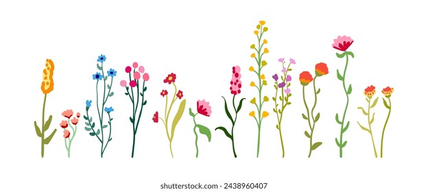 Summer set of delicate graceful wildflowers on tall stems with foliage. Minimalistic floral elements. Spring flowering plants isolated on white background. Flat vector illustration.