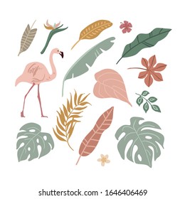 Summer set of design elements tropical leaves, flowers, fruits, flamingos. Vector illustration