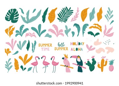 Summer set of design elements tropical leaves, flamingos, toucan, parrot. Vector illustration 