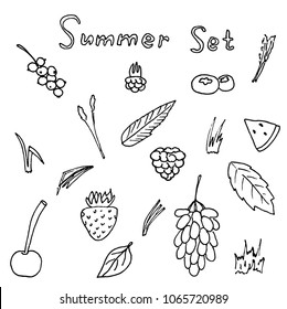 Summer set hand drawn doodle vector outline