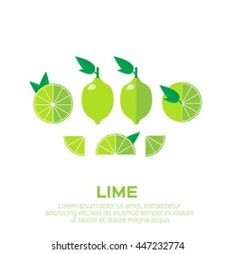 Summer set of lime fruits. Vector illustration