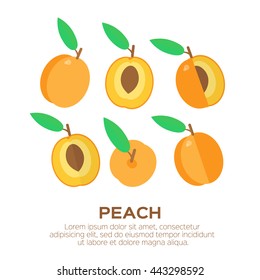 Summer set of peach with leaf. Whole and cut orange pears. Symbol of food, sweet and vitamin, healthy. Vector illustration
