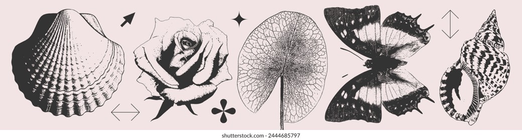 Summer Set of seashells, rose, leaf, butterfly in photocopy halftone Y2K style. Isolated black and white retro print effect.