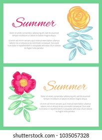 Summer set of two posters decorated with plants on white background. Vector illustration with pink and yellow flowers drawn in pencil and watercolors