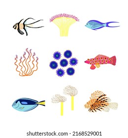 Summer set with underwater life illustrations. Fish, seaweed and coral isolated elements.
