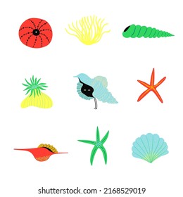 Summer set with underwater life illustrations. Funny seashell, seaweed, coral and starfish elements.