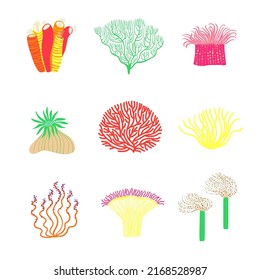 Summer set with underwater plant illustrations. Funny seaweed and coral isolated elements.
