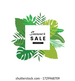 entorno de verano con hojas tropicales