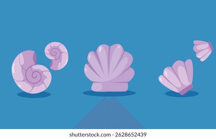 summer shell and snail illustration