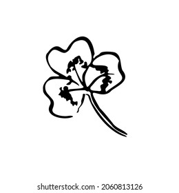 Sommerskizze umreißt Kleeblatt. Handgezeichnete Texturenkraut auf weißem Hintergrund. Doodle-Grafik-Pflanze. Natur, Wald, St.Patricks Day Schild. geschnitztes rosa Blatt. Vektorgrafik der botanischen Jahreszeit