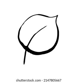 Summer sketch outline leaf. Hand-drawn line textured herb on white background. Doodle graphic plant. Nature, gardening, forest, fall, eco sign. Drawing ink leaf. Vector botanical season illustration