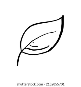 1,689 Line drawing leaves veins Images, Stock Photos & Vectors ...