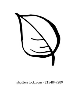 1,689 Line Drawing Leaves Veins Images, Stock Photos & Vectors 