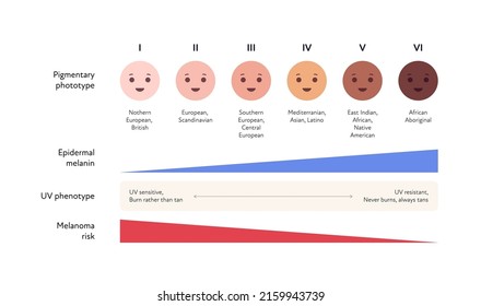 Summer skin care and sunscreen protection concept. Vector flat healthcare illustration. Melanin and melanoma risk chart for pigrmentary skin phototype and uv phenotype.