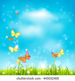 Summer sky background. Bright summer blank with flowers and butterflies. Nature template for design banner,ticket, leaflet, card, poster and so on.