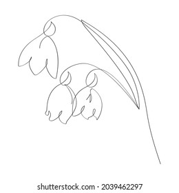 Summer Snowflake  or Loddon Lily flower line art. Minimalist contour drawing. One line artwork