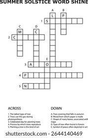 Verão Solstício Crossword Puzzle Grid Word Atividade vetor