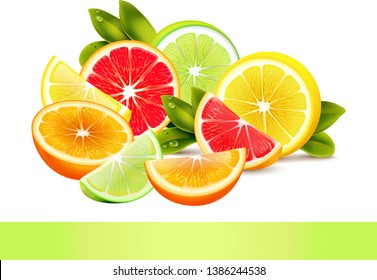 summer special juicy fruits collection vector 