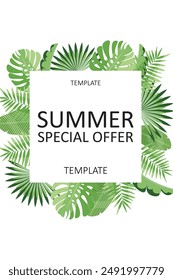 Summer special offer with tropical green leaves border in vector illustration, ideal for seasonal promotions. vector banner