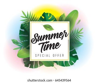 Summer. Special offer. Vector background with typography for posters and banners. Illustration with tropical leaves and sun.