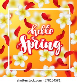  Summer or spring background with tropical flowers and rose petals . Hand drawn calligraphy "hello spring" 