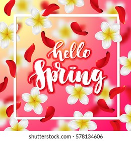  Summer or spring background with tropical flowers and rose petals . Hand drawn calligraphy "hello spring" 