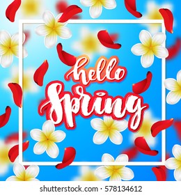  Summer or spring background with tropical flowers and rose petals . Hand drawn calligraphy "hello spring" 