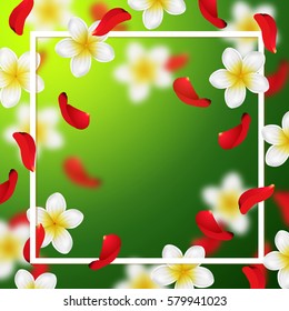 Summer or spring  background with tropical flowers and rose petals 