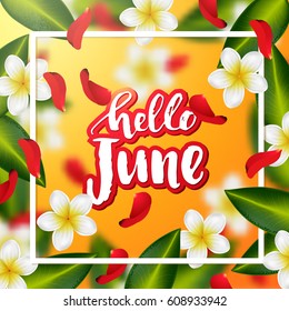 Summer or spring background with tropical flowers and rose petals. Hand drawn calligraphy "hello June" 