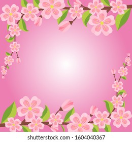 Summer Spring Blooming Flower Nature Pink Garden Park Background