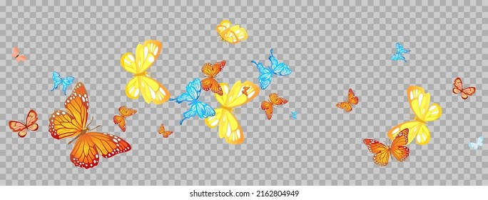 Summer or spring butterflies isolated. Design for banner, ticket, leaflet, card, poster and so on.