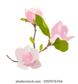 Summer, spring    elegant  magnolia on white  background.. Hand drawing vector illustration. Perfect for greeting cards, party invitations, posters, stickers, pin, scrapbooking, t-shirt design