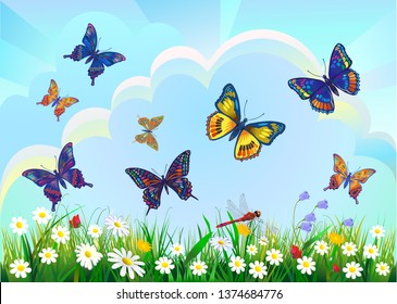 summer spring field on background blue sky with sunshine and a flying butterfly