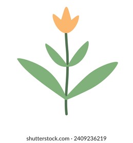 Summer and spring flora, plant and herb with petal, leaf. Cute modern flower. Blossomed flower element on white background. 
