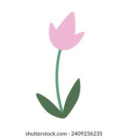 Summer and spring flora, plant and herb with petal, leaf. Cute modern flower. Blossomed flower element on white background. 